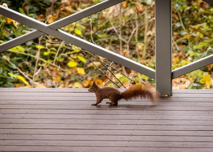 Mein Haus Am In Tatil Evi